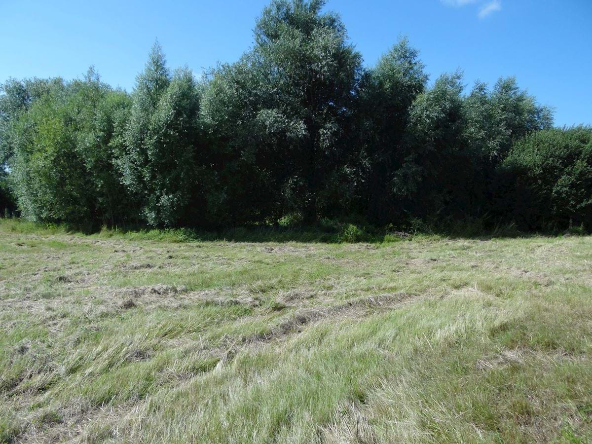 Lokalplanområde mod syd